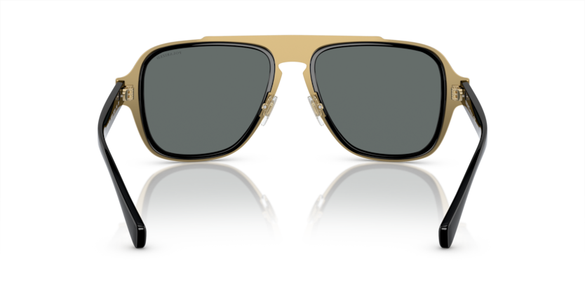 Gafa de sol VERSACE VE 2199 1002/81